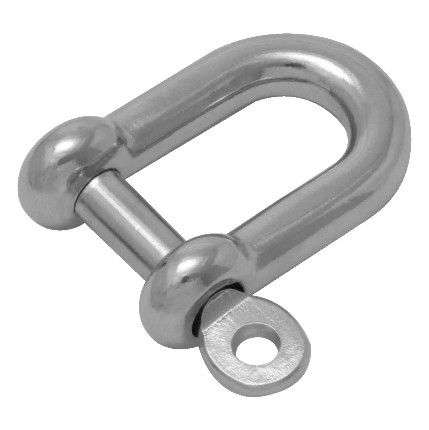 SS316 Standard D-Shackle